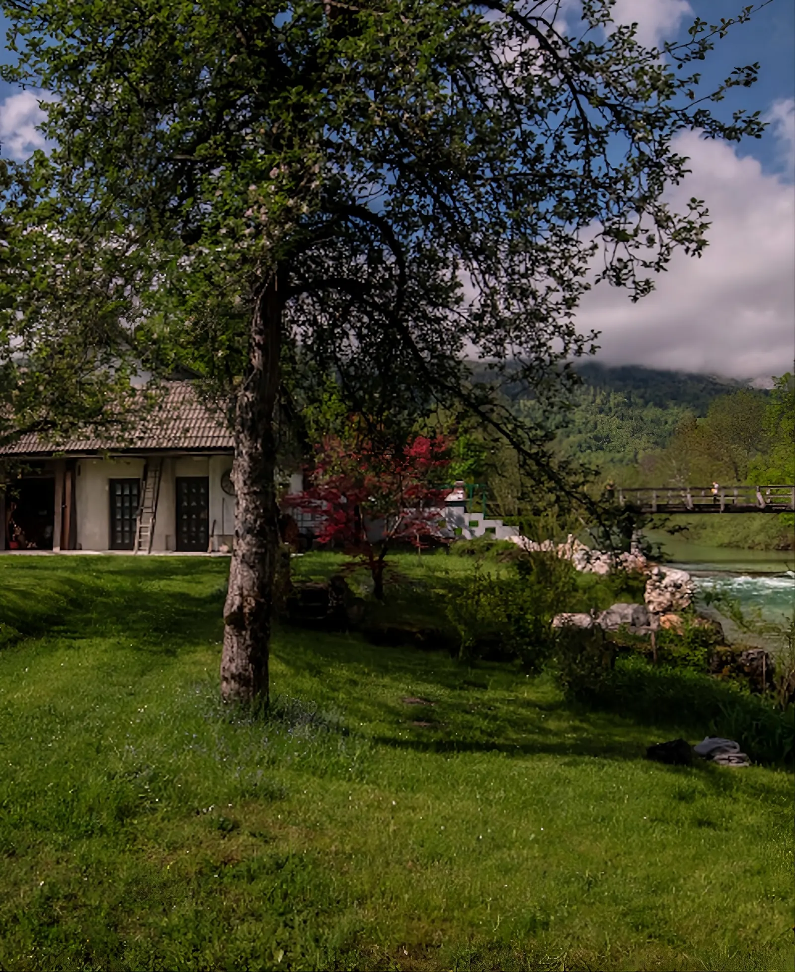 Bohinj, reka in narava v okolici Savice